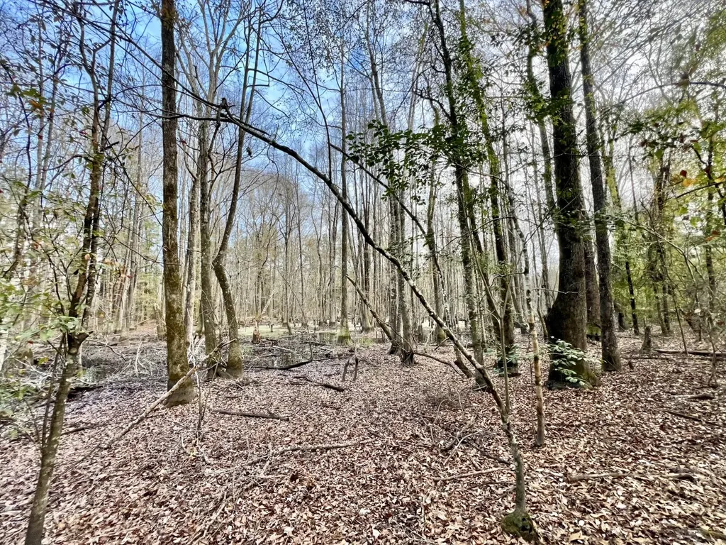 0 Highway 10 Pine Hill AL 36769