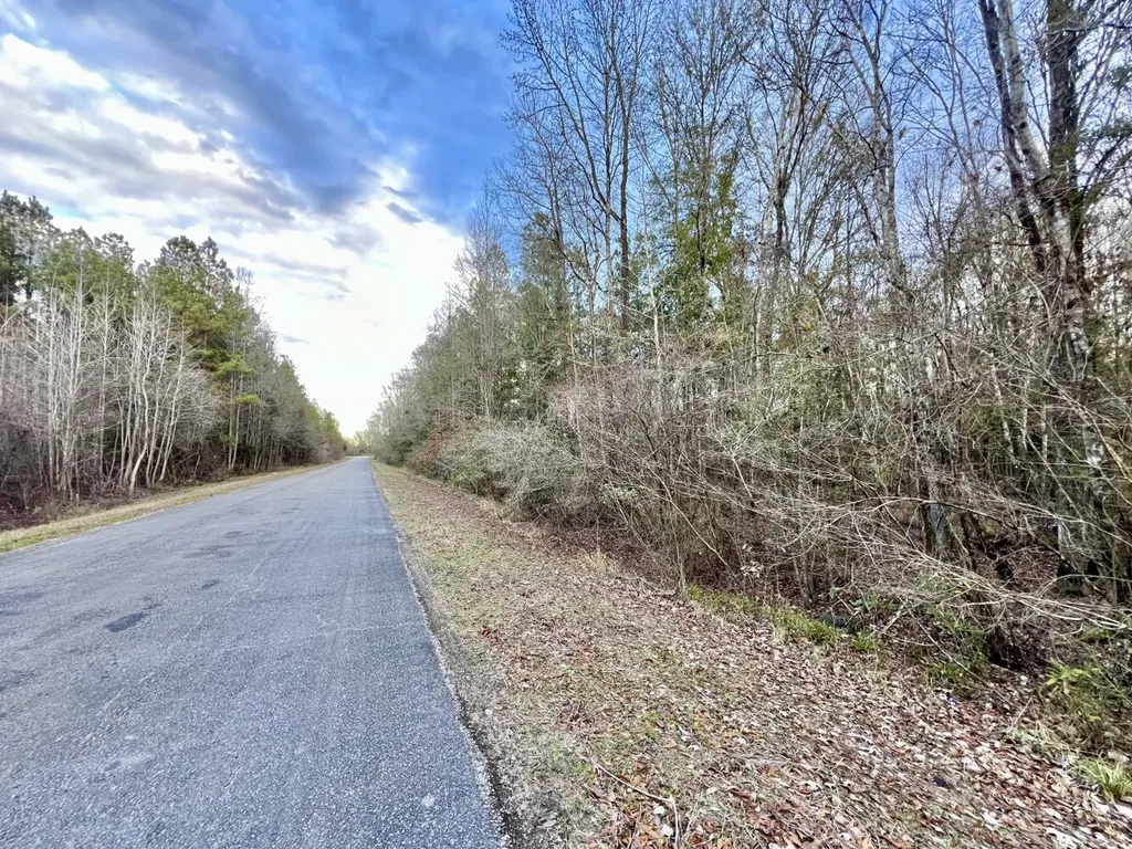 0 Highway 10 Pine Hill AL 36769