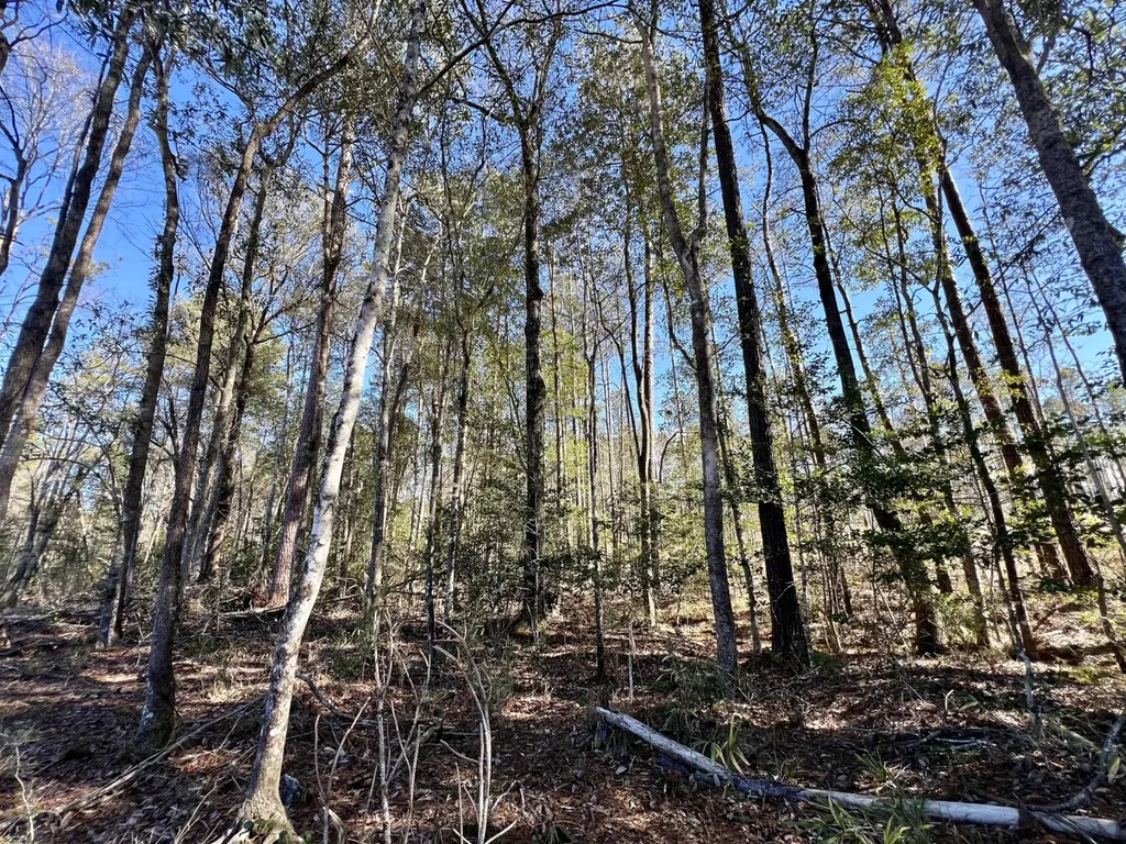 0 Bud Odom Road Deer Park AL 36529