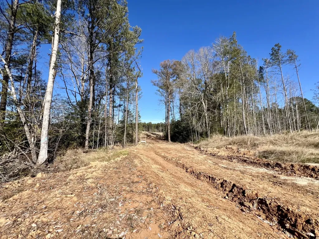 0 Bud Odom Road Deer Park AL 36529