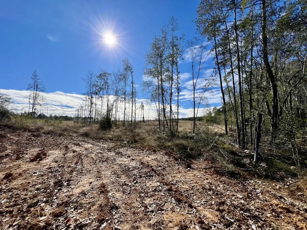 0 Bud Odom Road Deer Park AL 36529