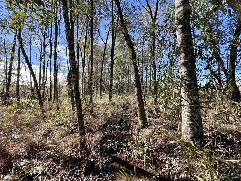 0 Bud Odom Road Deer Park AL 36529