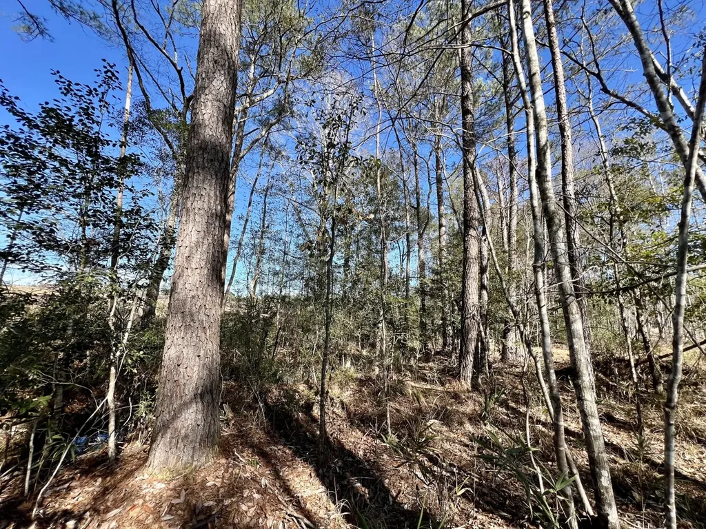 0 Bud Odom Road Deer Park AL 36529