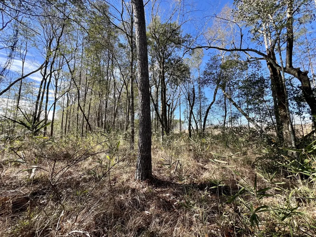 0 Bud Odom Road Deer Park AL 36529