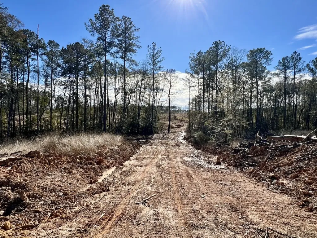 0 Bud Odom Road Deer Park AL 36529