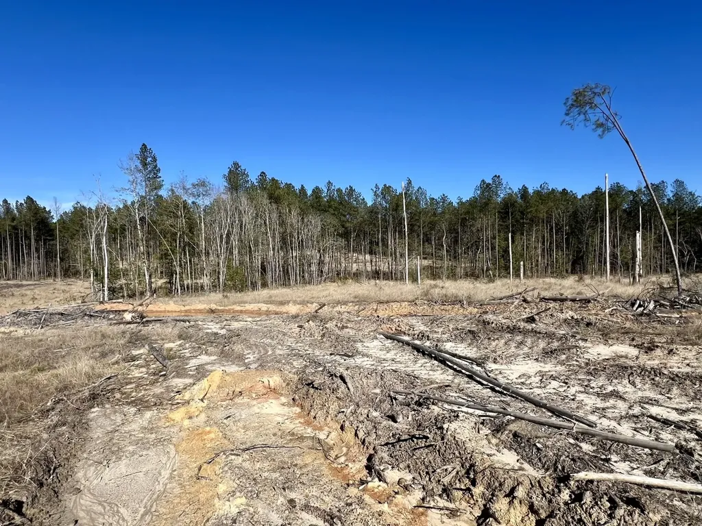 0 Bud Odom Road Deer Park AL 36529