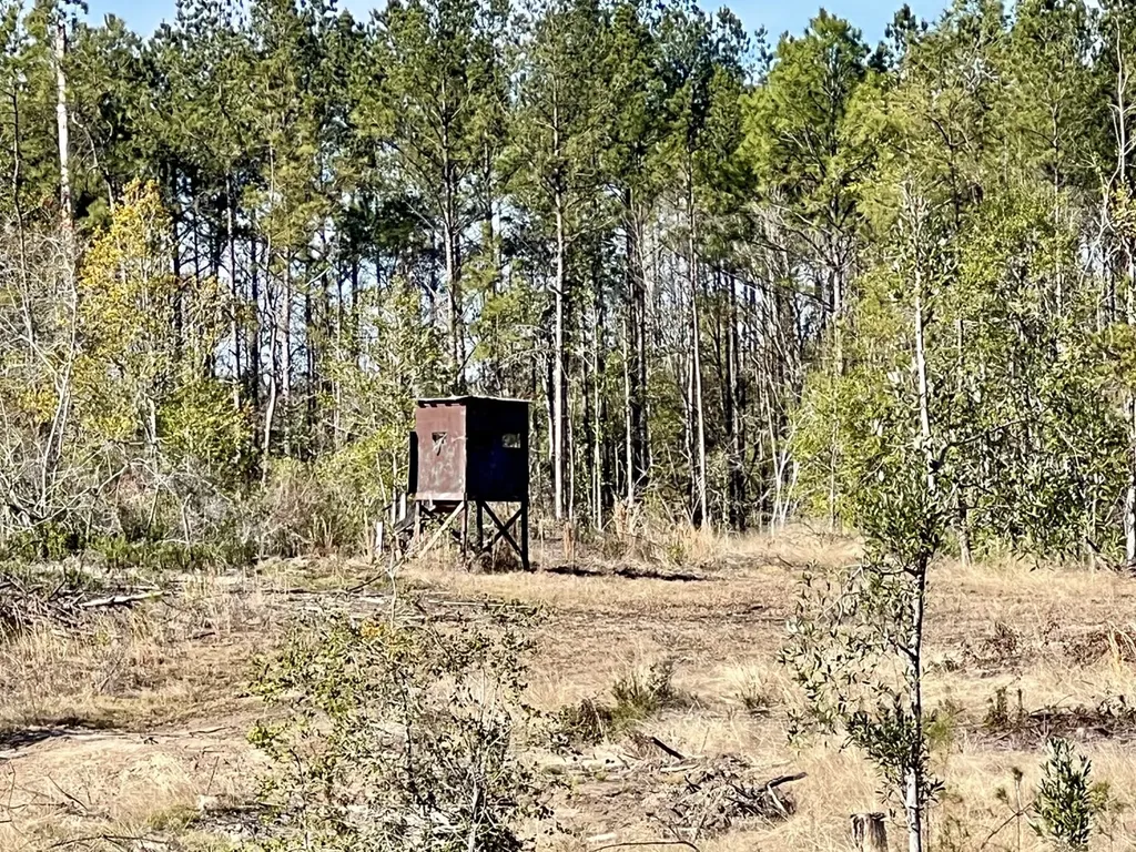 0 Bud Odom Road Deer Park AL 36529