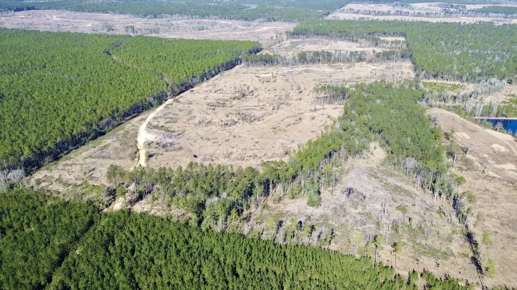 0 Bud Odom Road Deer Park AL 36529