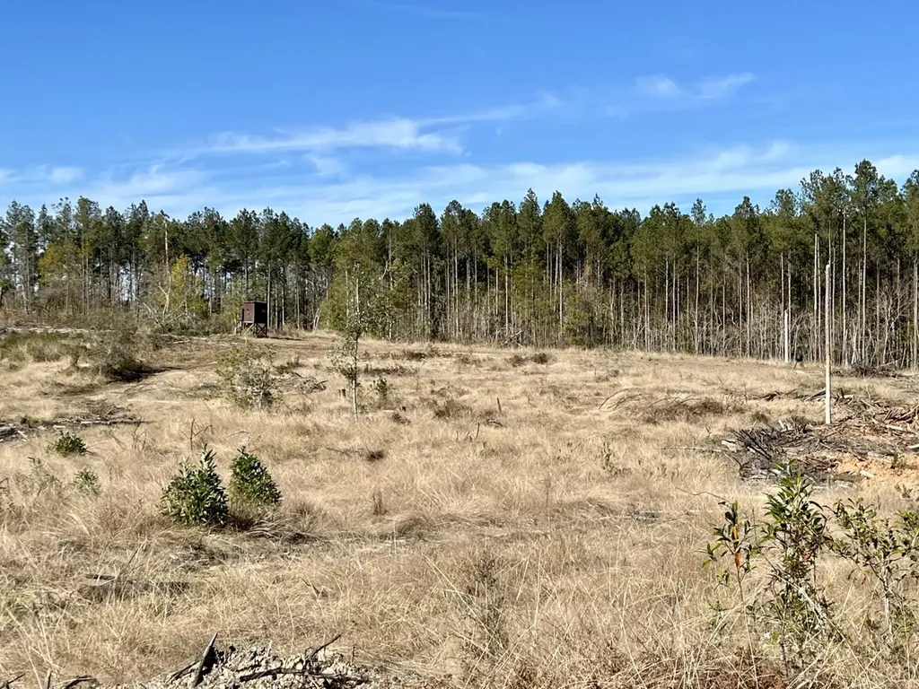 0 Bud Odom Road Deer Park AL 36529