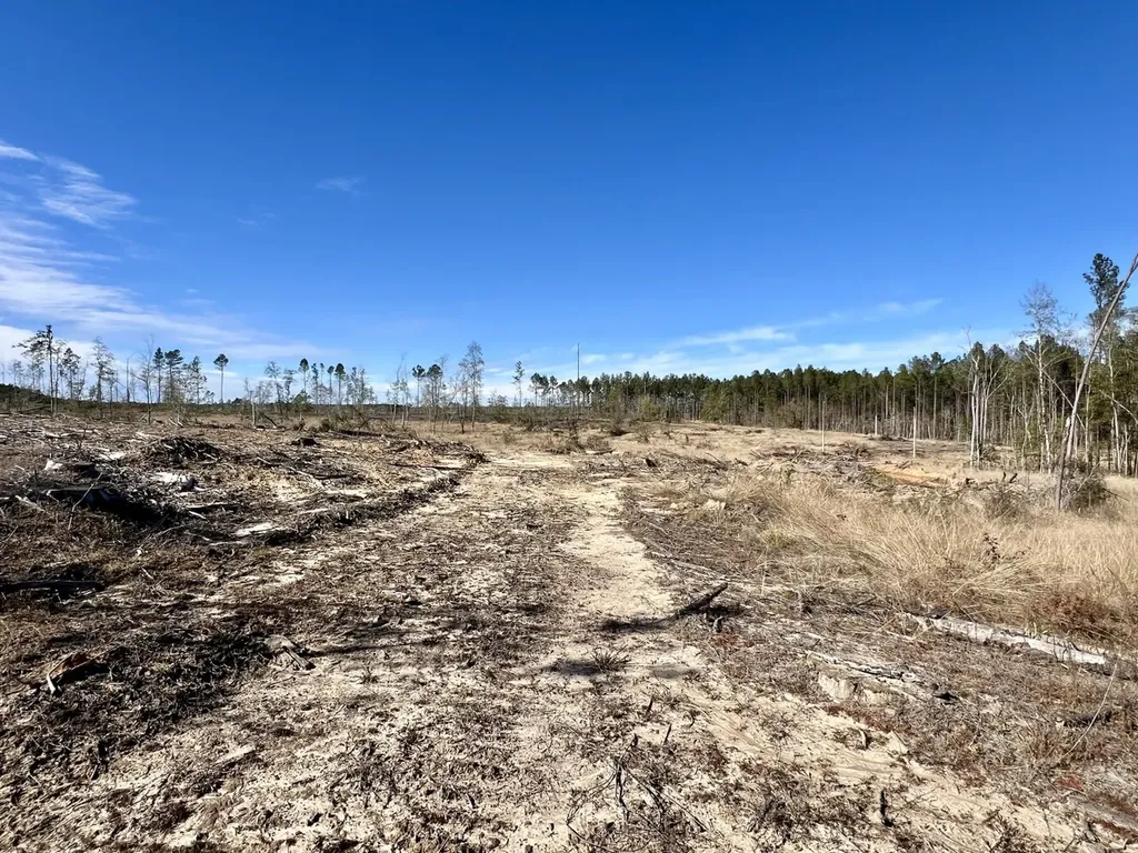 0 Bud Odom Road Deer Park AL 36529