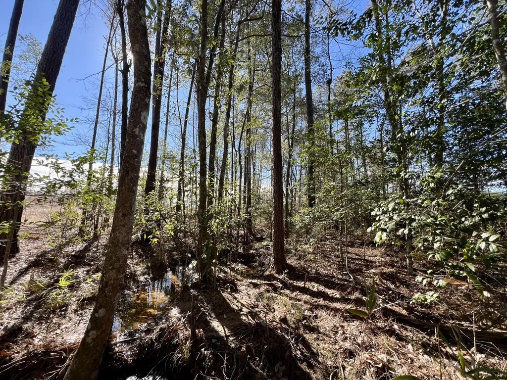 0 Bud Odom Road Deer Park AL 36529