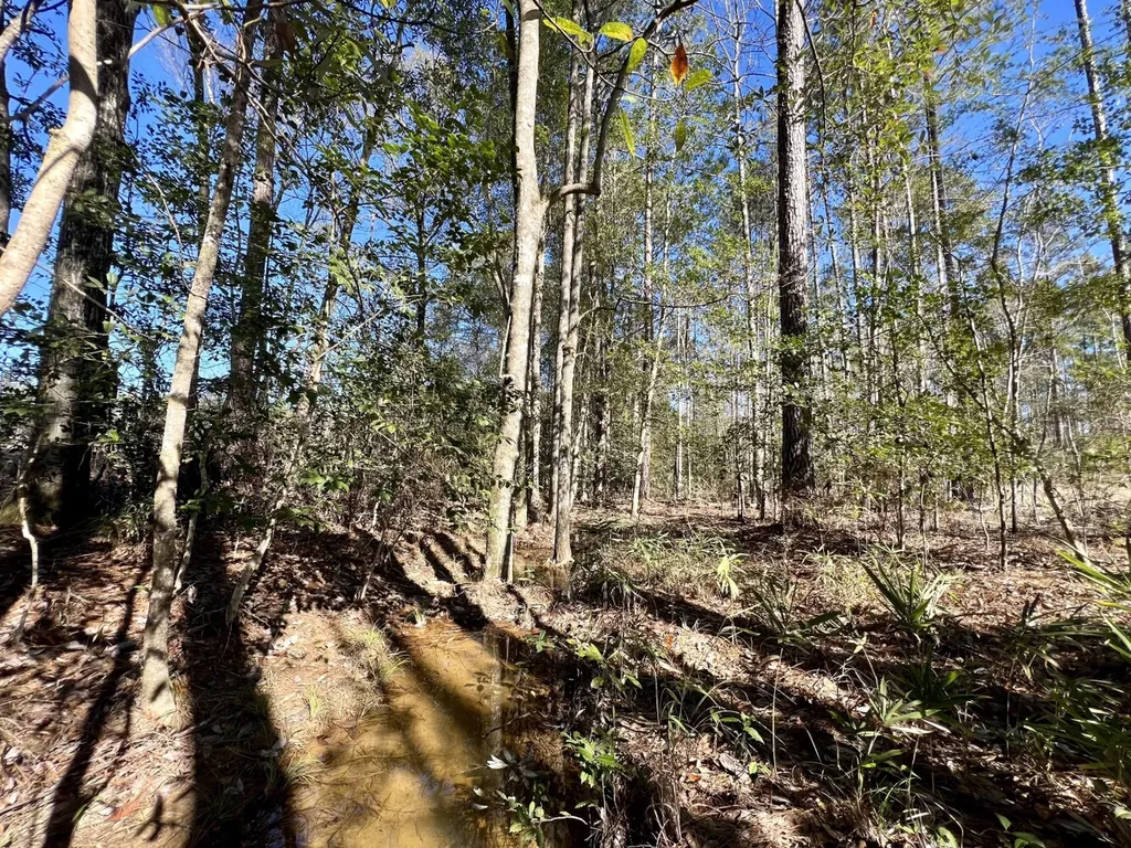 0 Bud Odom Road Deer Park AL 36529