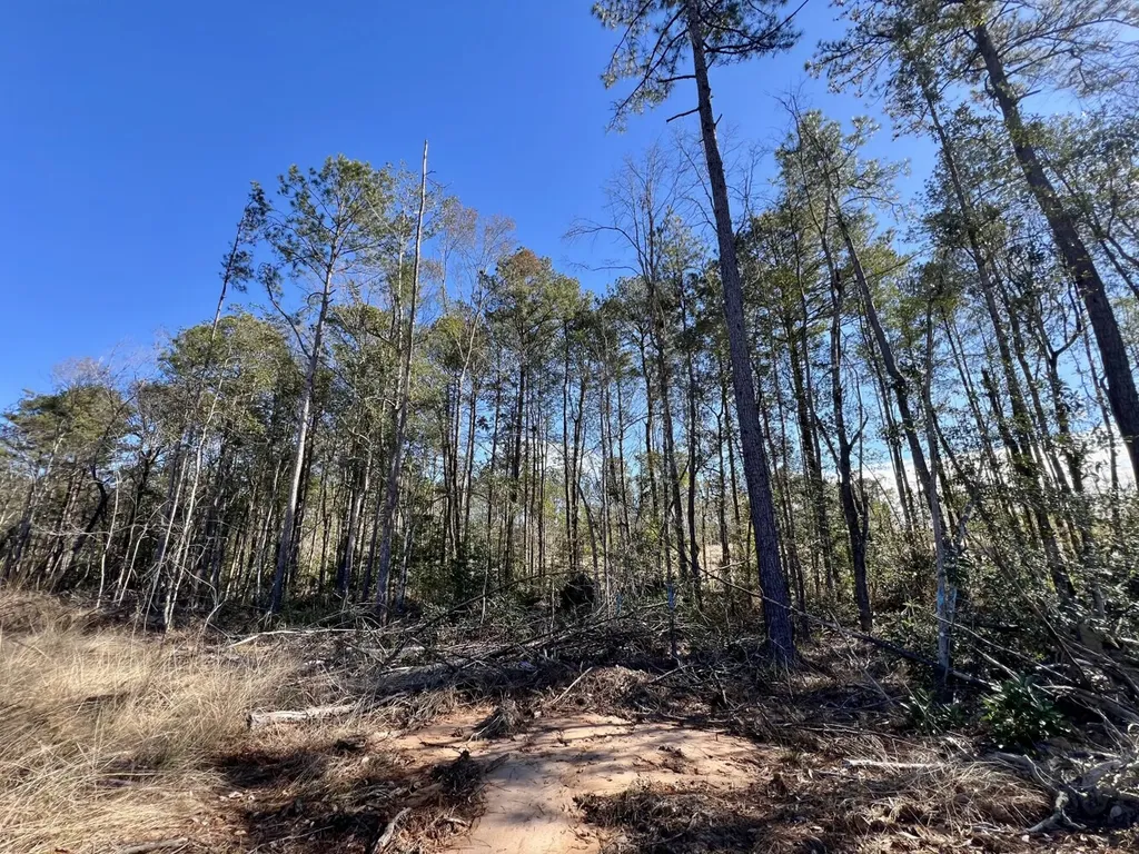 0 Bud Odom Road Deer Park AL 36529