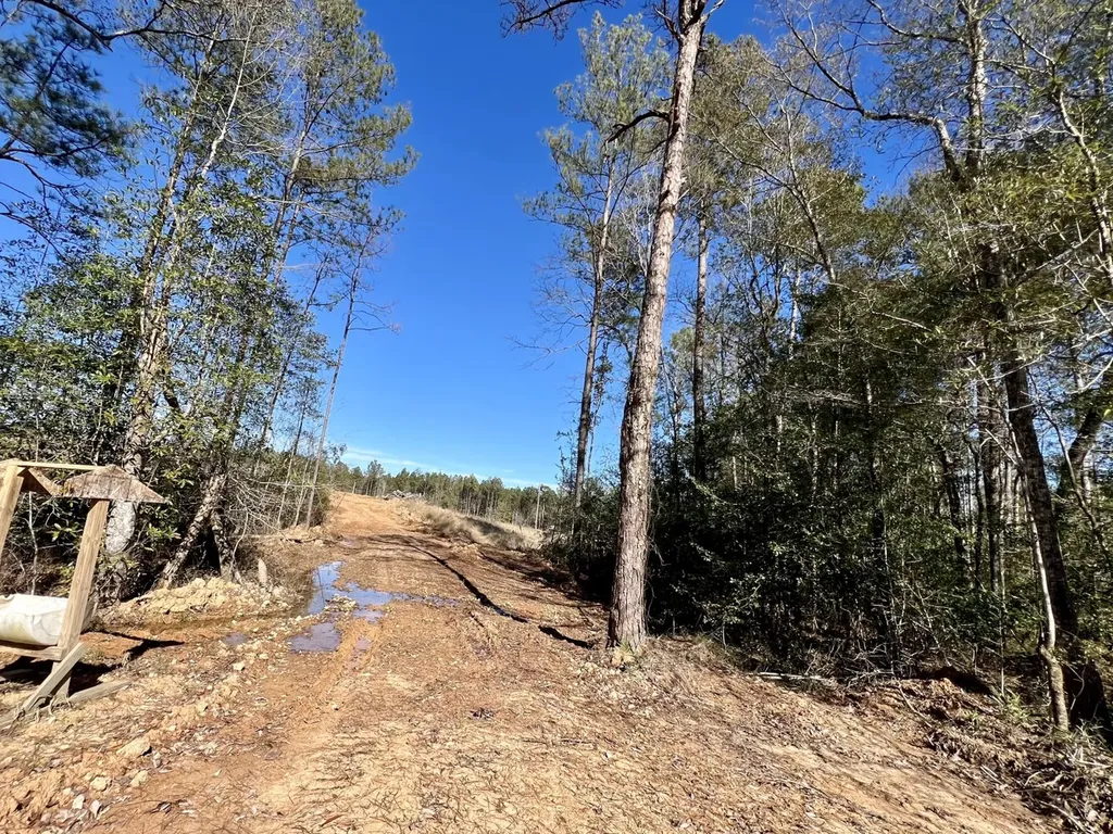 0 Bud Odom Road Deer Park AL 36529