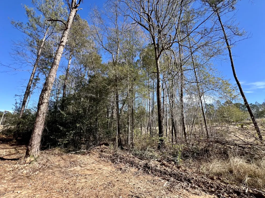 0 Bud Odom Road Deer Park AL 36529