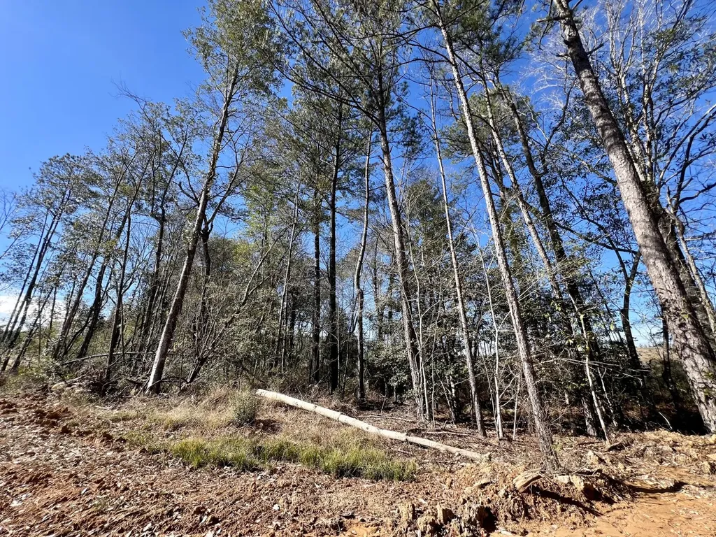 0 Bud Odom Road Deer Park AL 36529