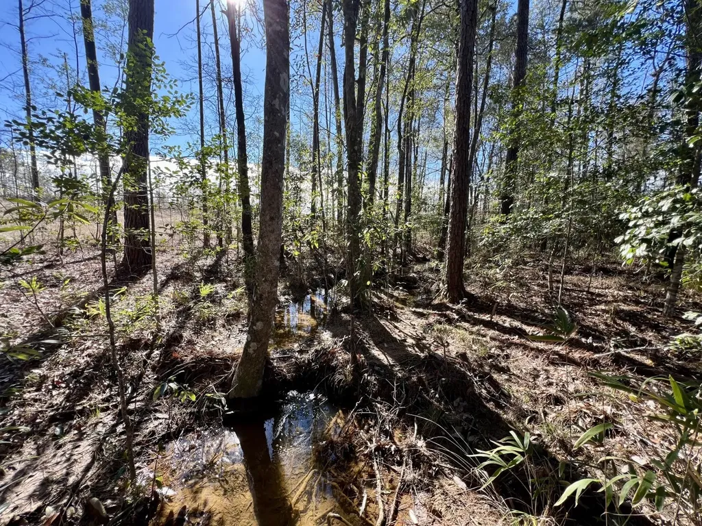 0 Bud Odom Road Deer Park AL 36529