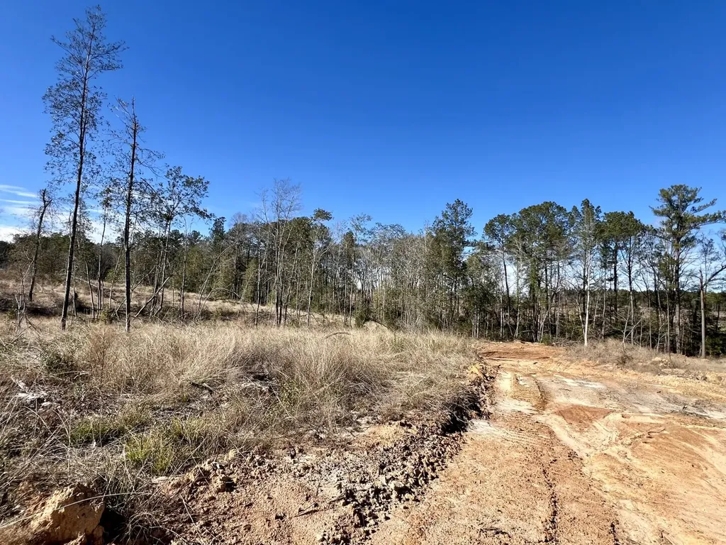 0 Bud Odom Road Deer Park AL 36529