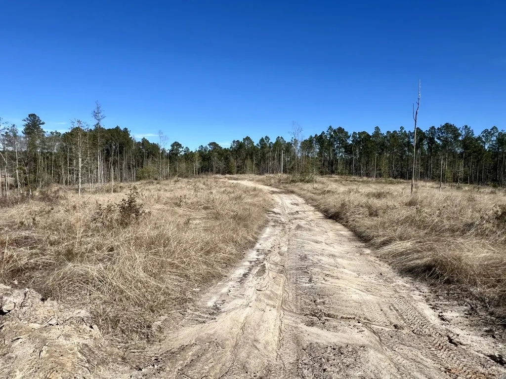 0 Bud Odom Road Deer Park AL 36529