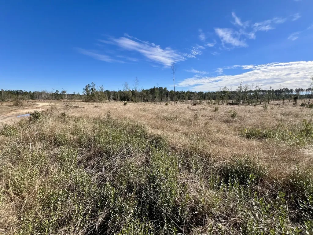 0 Bud Odom Road Deer Park AL 36529