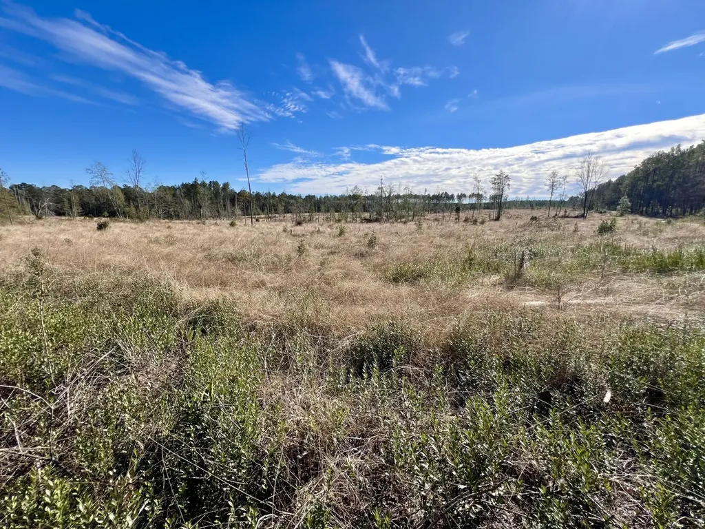 0 Bud Odom Road Deer Park AL 36529