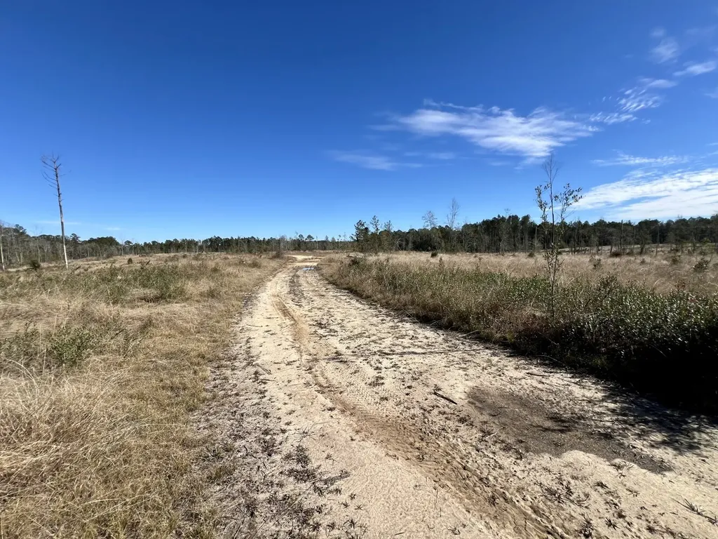 0 Bud Odom Road Deer Park AL 36529