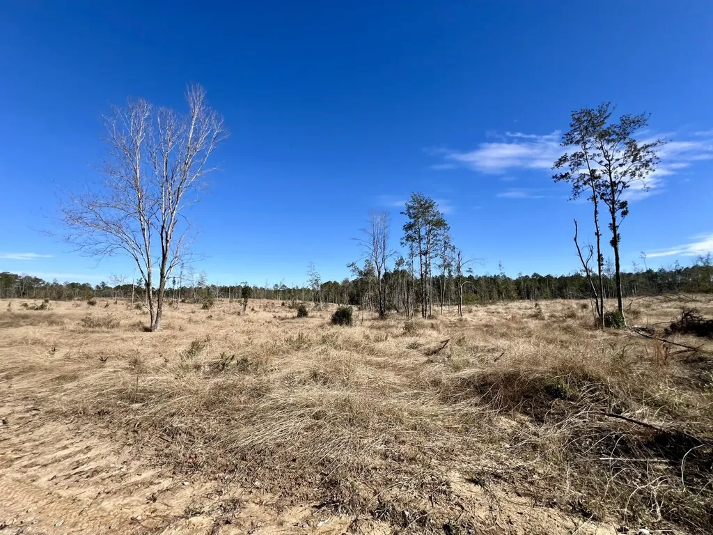 0 Bud Odom Road Deer Park AL 36529