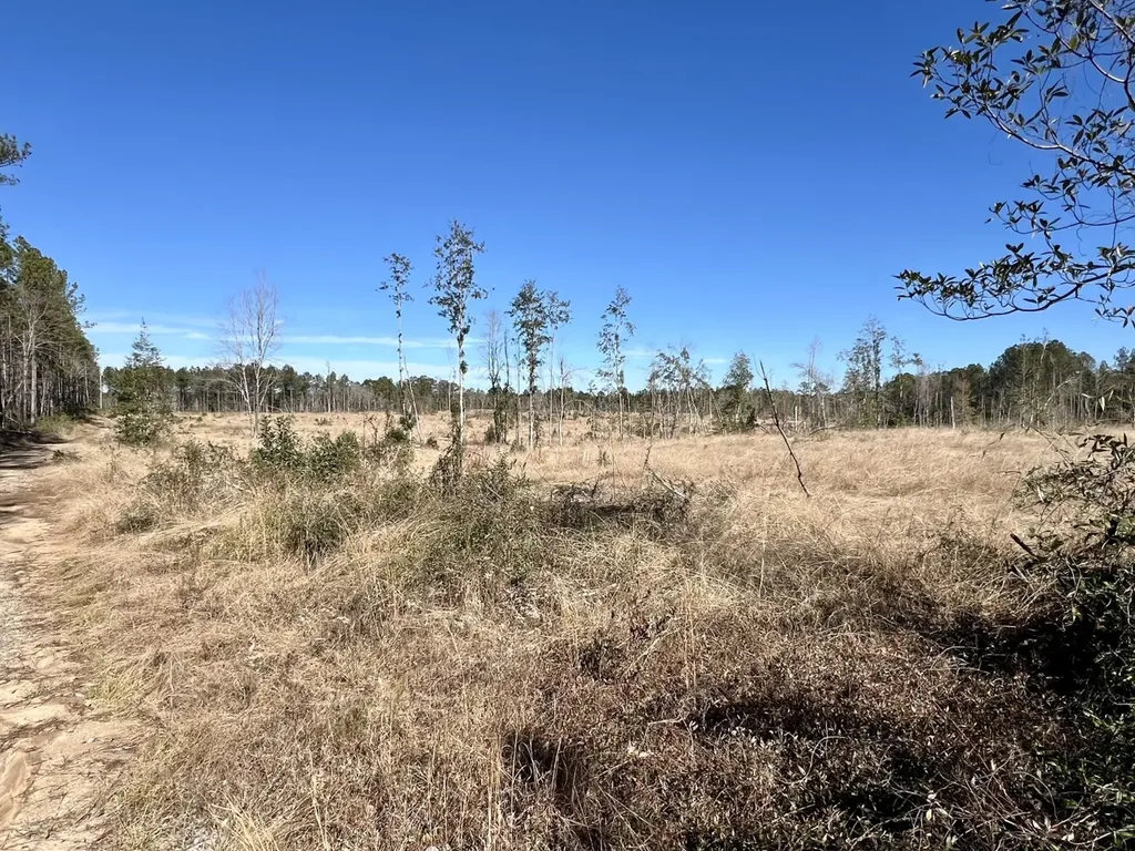 0 Bud Odom Road Deer Park AL 36529