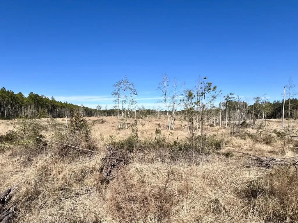 0 Bud Odom Road Deer Park AL 36529