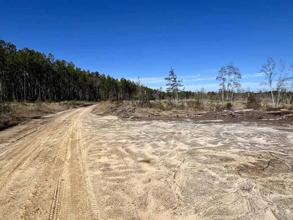 0 Bud Odom Road Deer Park AL 36529