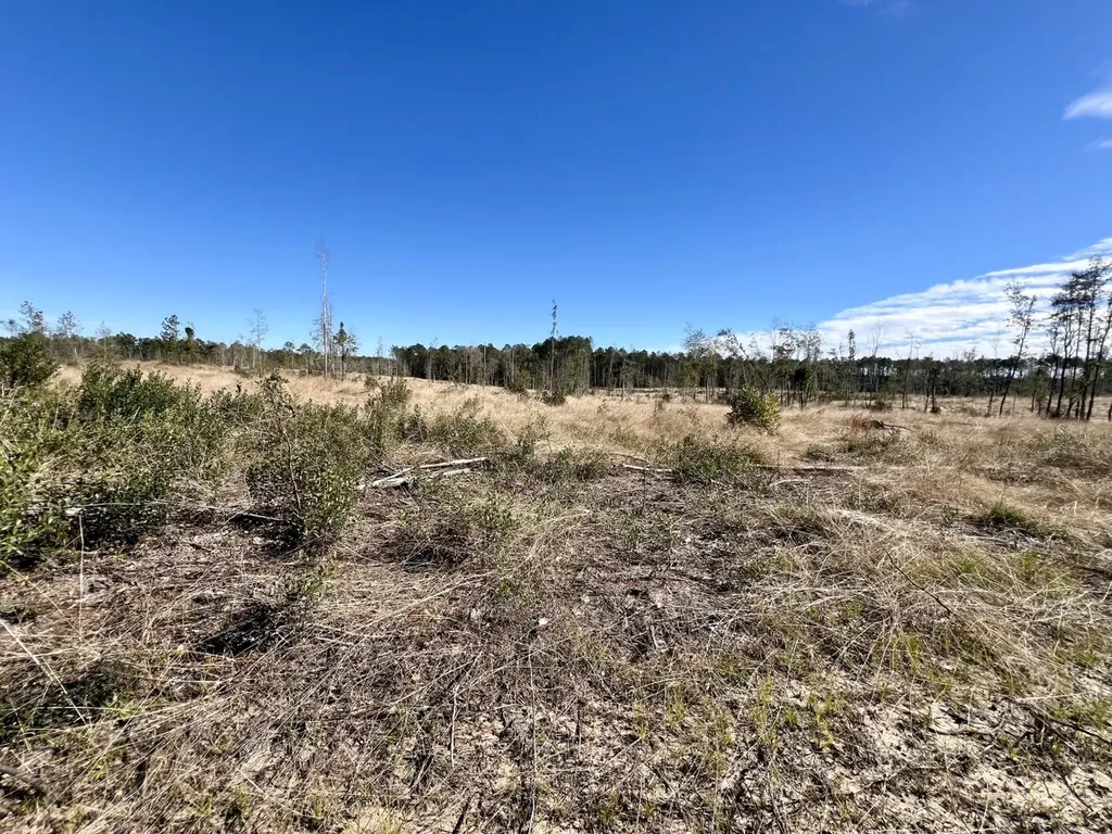 0 Bud Odom Road Deer Park AL 36529