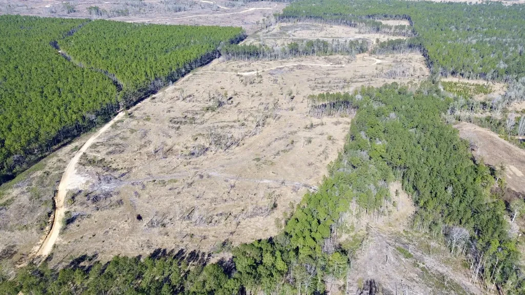 0 Bud Odom Road Deer Park AL 36529