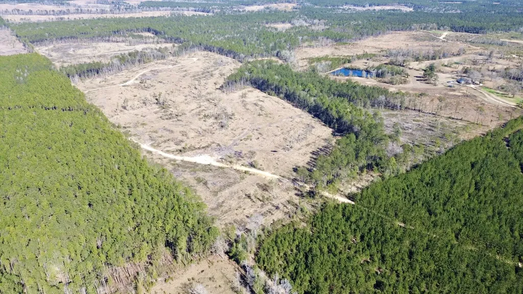 0 Bud Odom Road Deer Park AL 36529