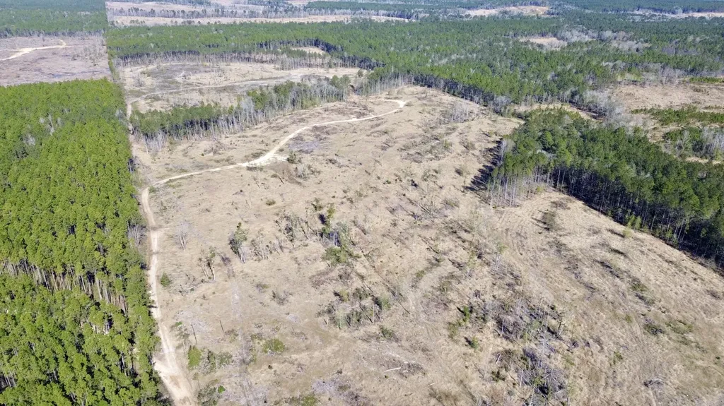 0 Bud Odom Road Deer Park AL 36529