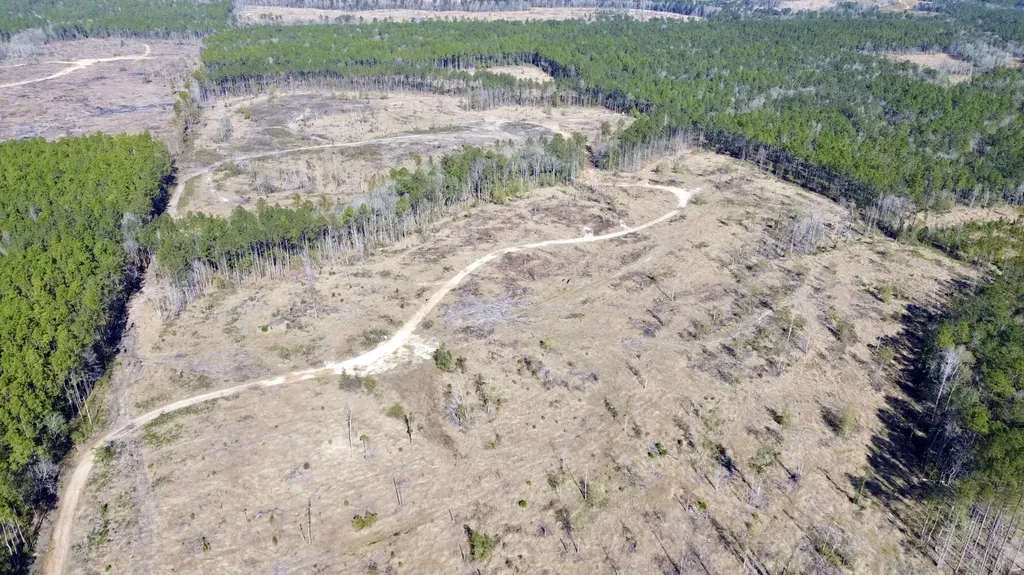 0 Bud Odom Road Deer Park AL 36529