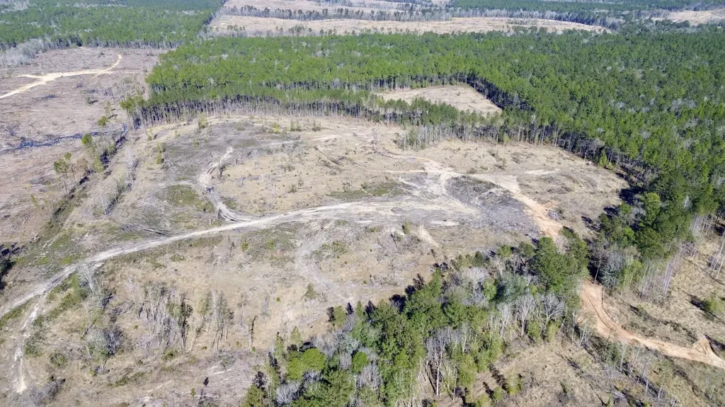 0 Bud Odom Road Deer Park AL 36529