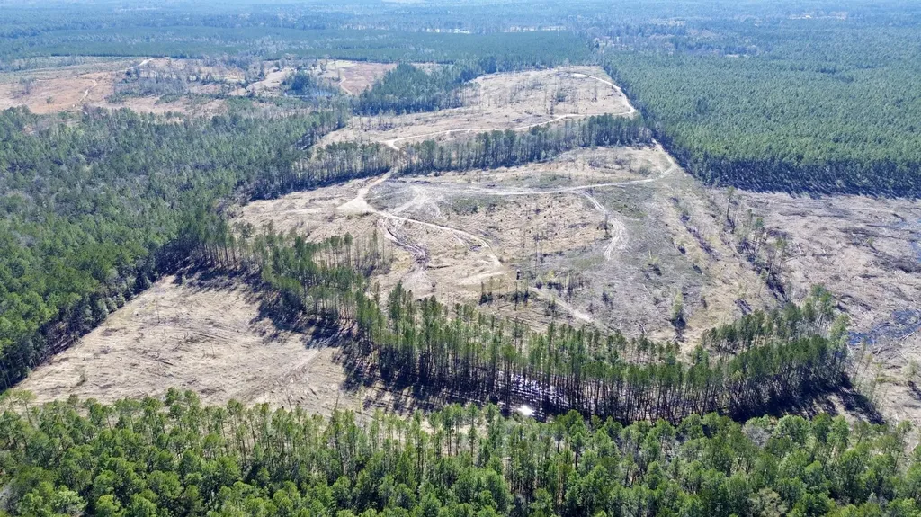 0 Bud Odom Road Deer Park AL 36529