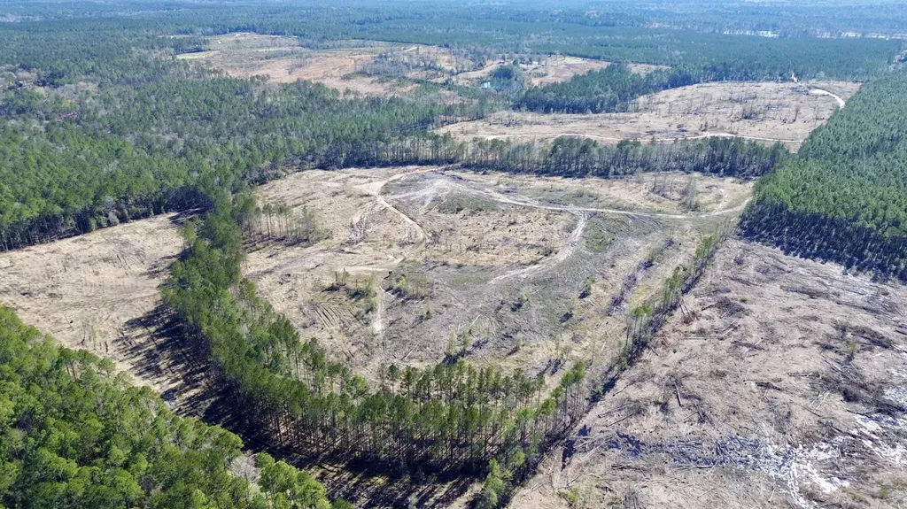 0 Bud Odom Road Deer Park AL 36529