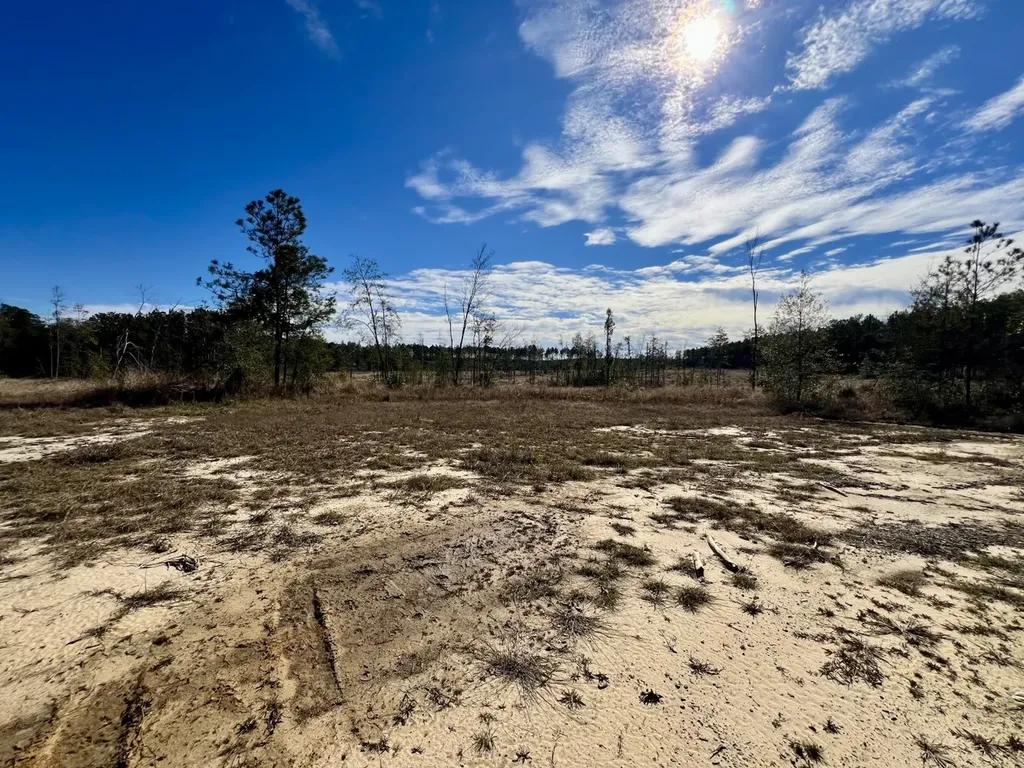 0 Bud Odom Road Deer Park AL 36529