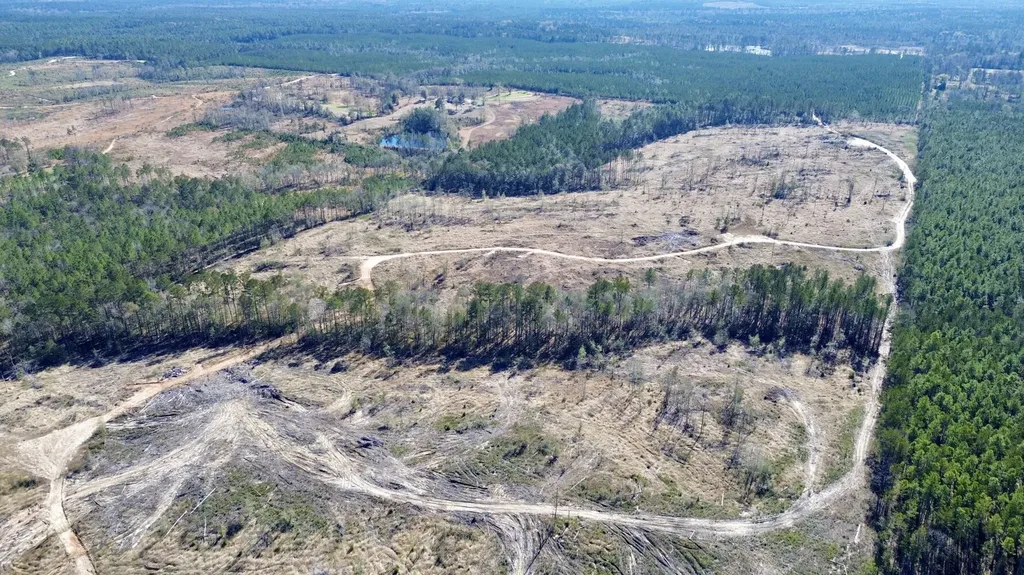 0 Bud Odom Road Deer Park AL 36529