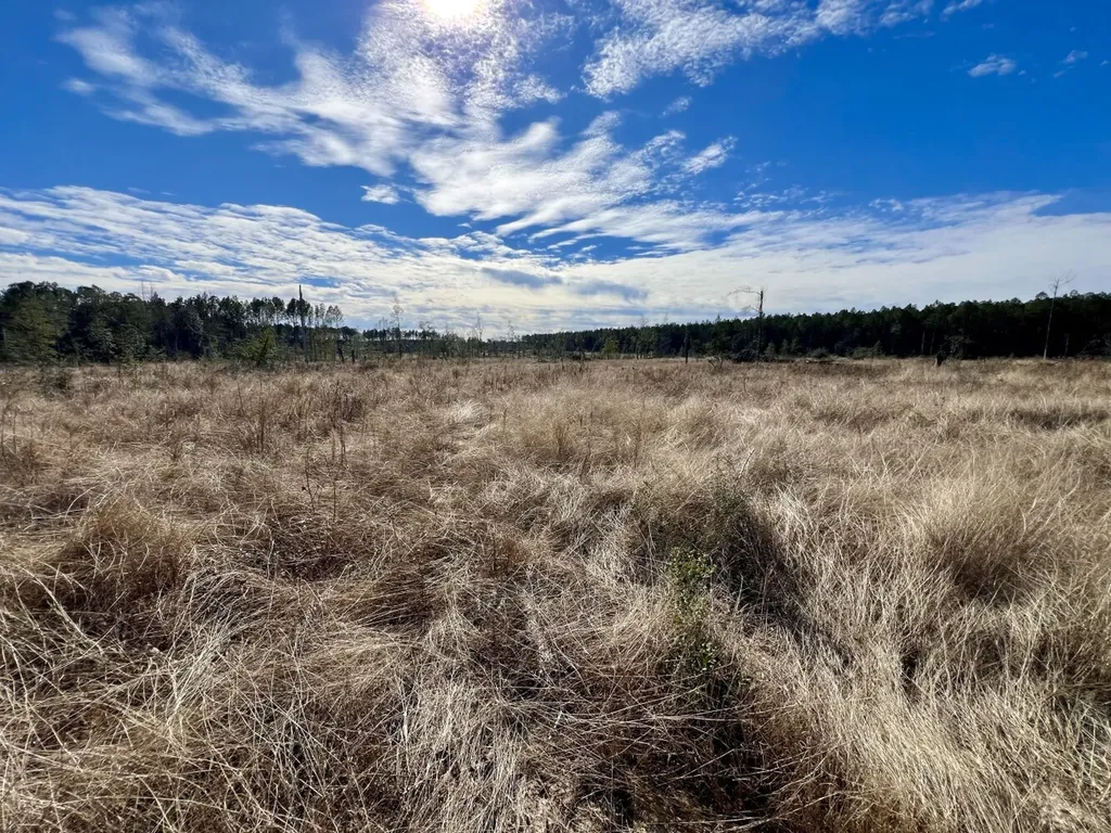 0 Bud Odom Road Deer Park AL 36529