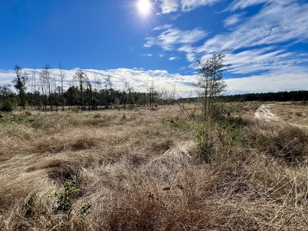 0 Bud Odom Road Deer Park AL 36529