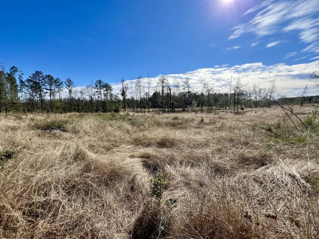 0 Bud Odom Road Deer Park AL 36529