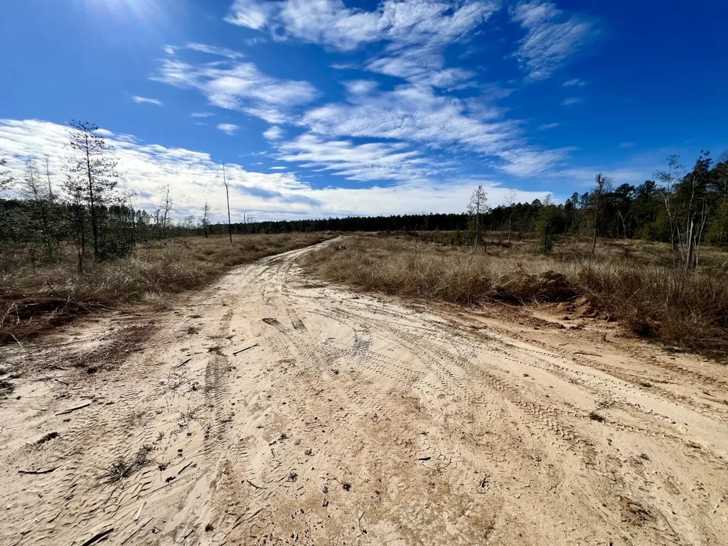 0 Bud Odom Road Deer Park AL 36529