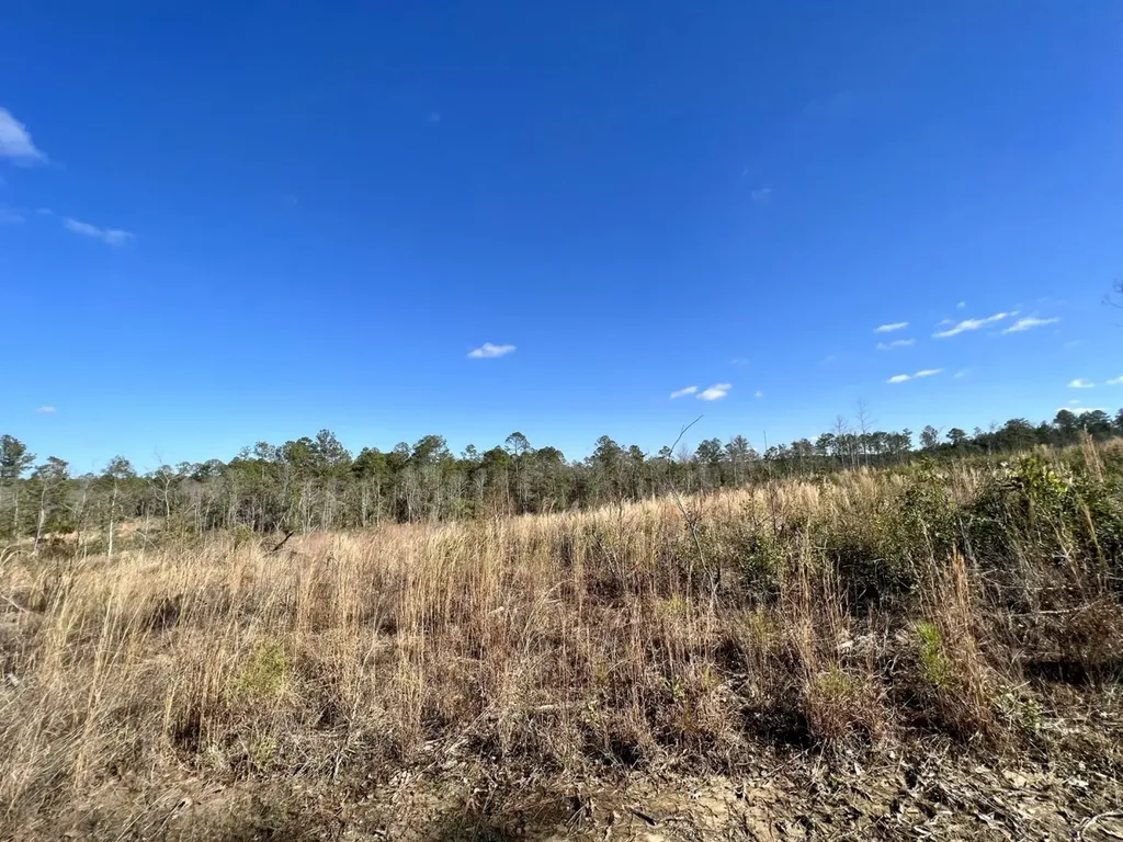 0 Landfield Road Chatom AL 36518