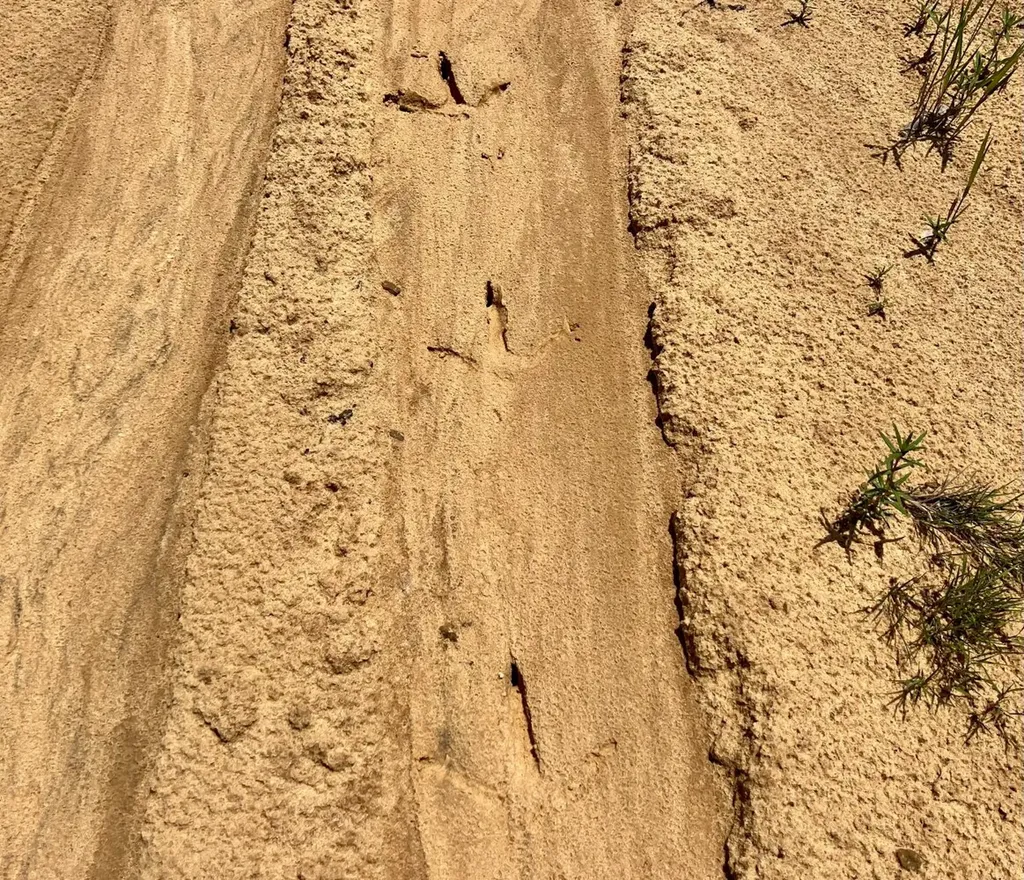 0 Landfield Road Chatom AL 36518