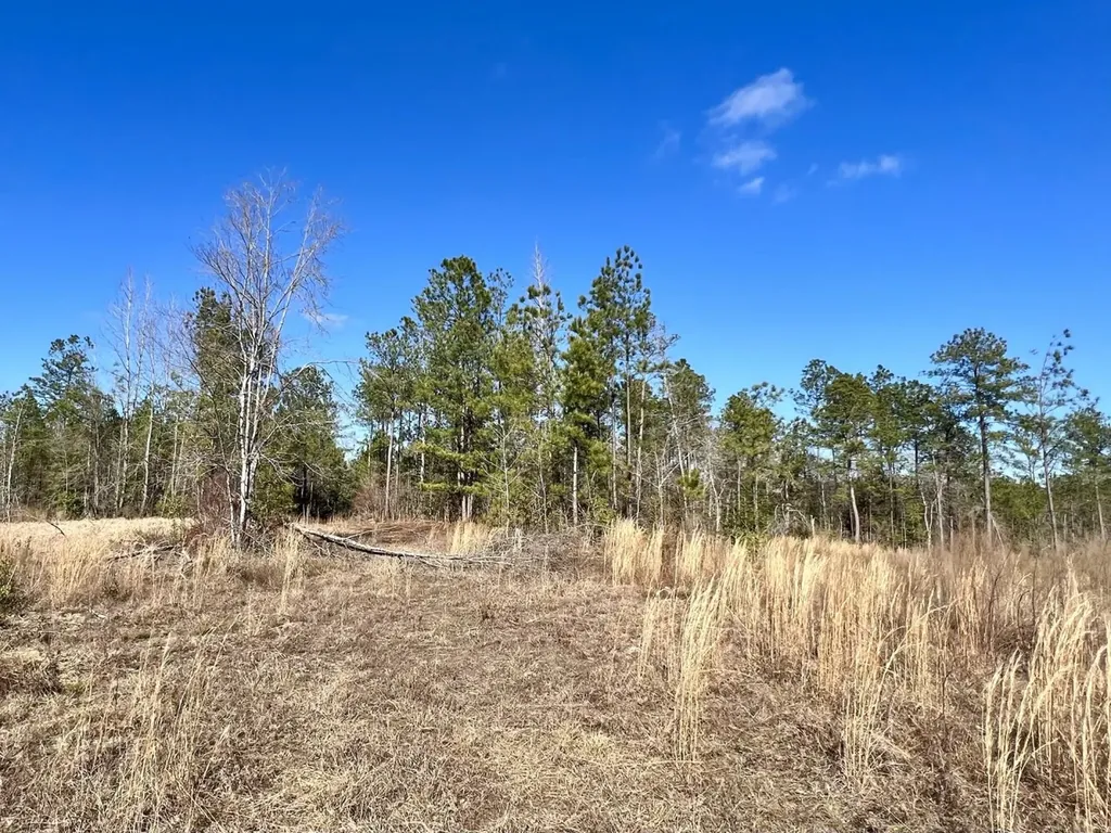 0 Landfield Road Chatom AL 36518