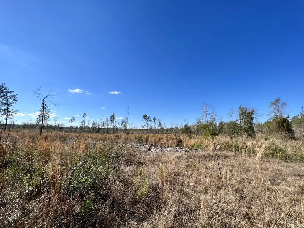 0 Landfield Road Chatom AL 36518