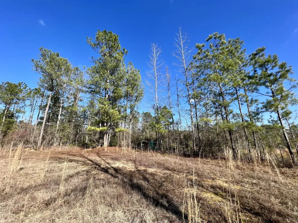 0 Landfield Road Chatom AL 36518