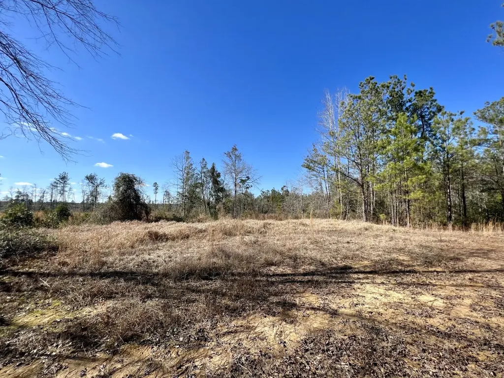 0 Landfield Road Chatom AL 36518